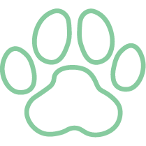 Green line icon of a dog paw
