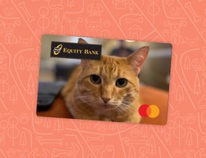 Debit card with a photo of an orange cat staring at camera on orange background color