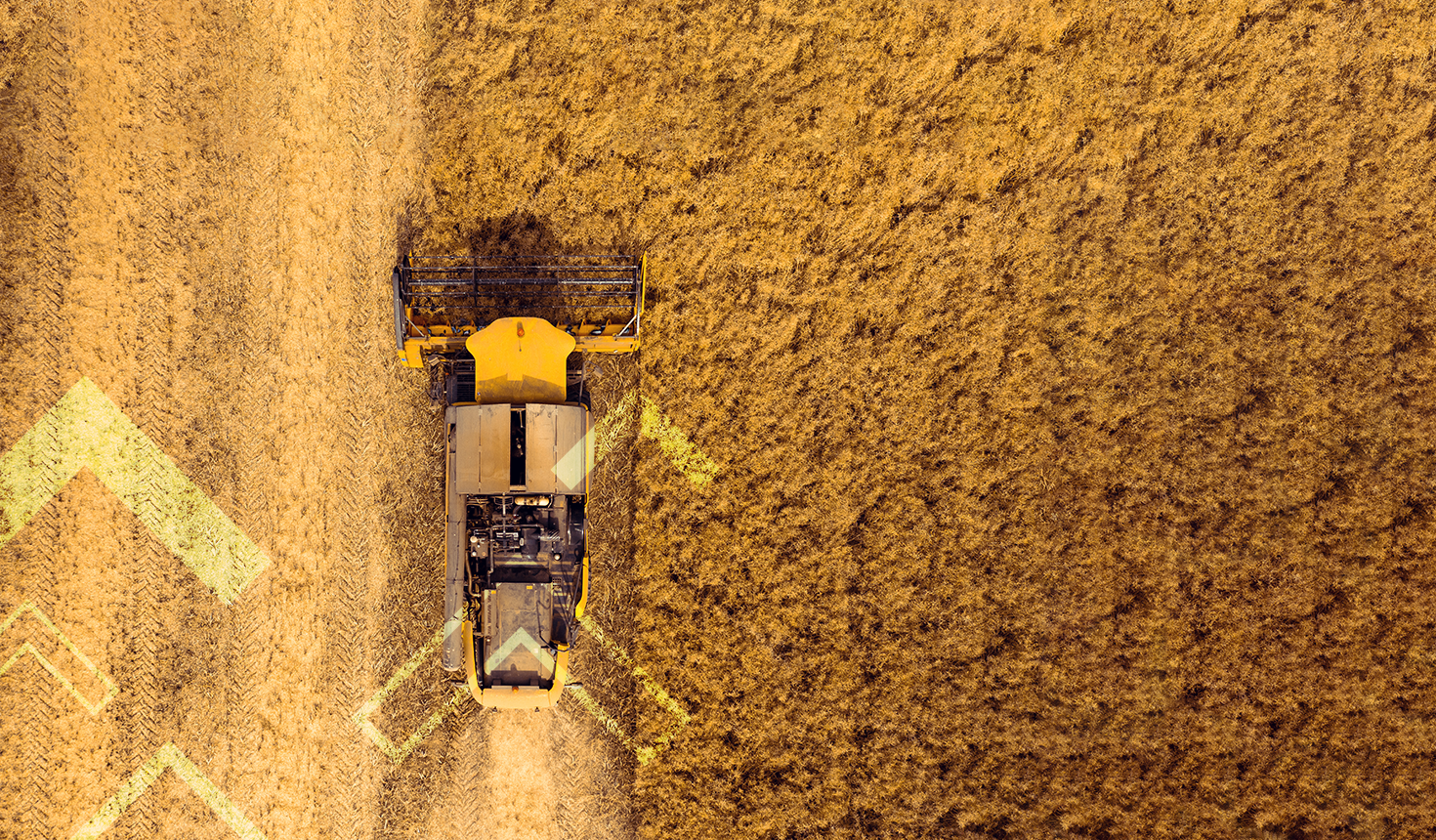 Tractor in Corn Field