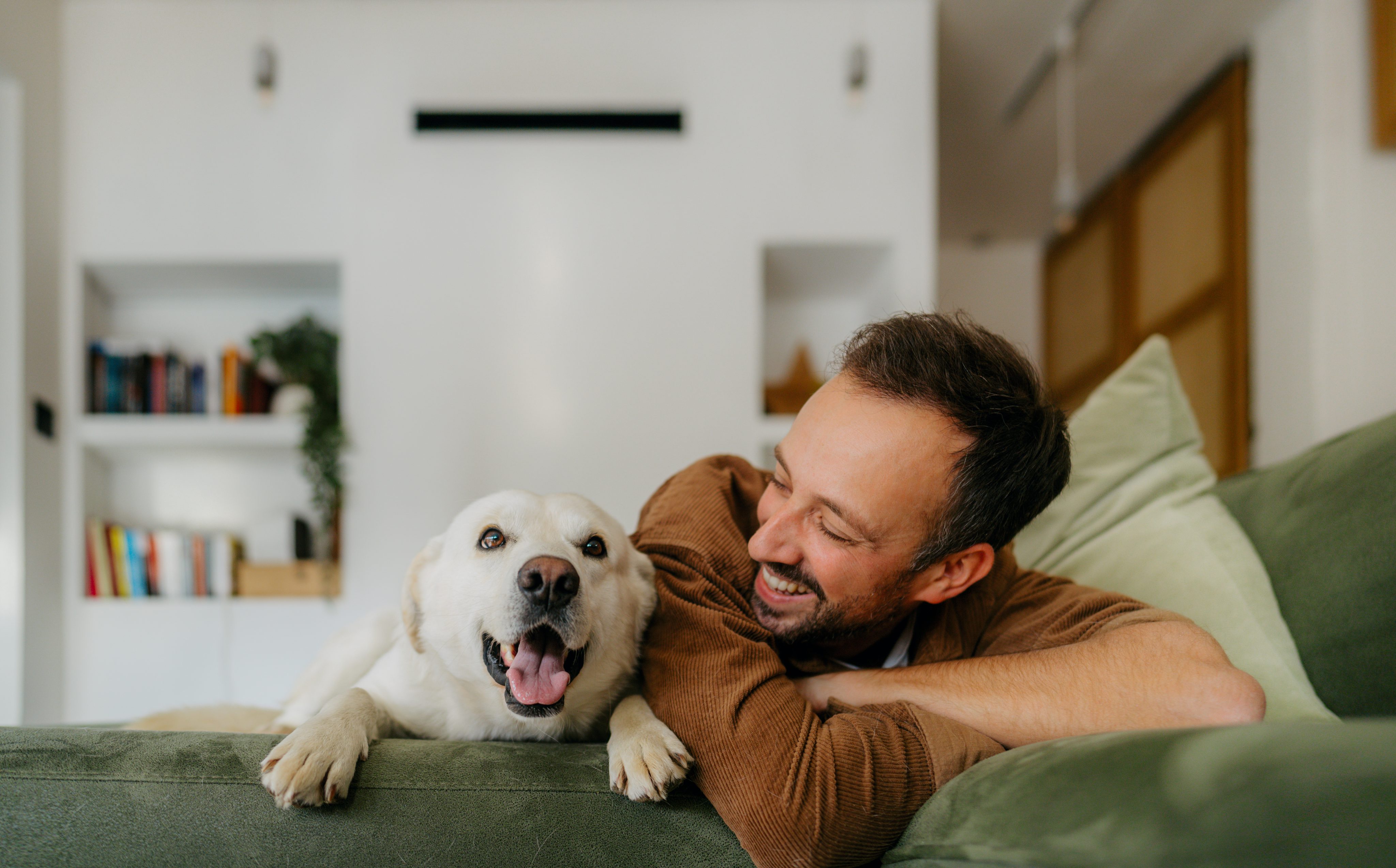A happy man smiling at his white dog while relaxing on a green couch in a modern living room, representing the joy of stress-free pet ownership through financial planning.